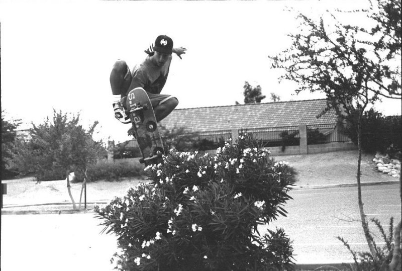 Nutz Air