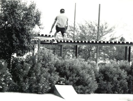 Air Nutz